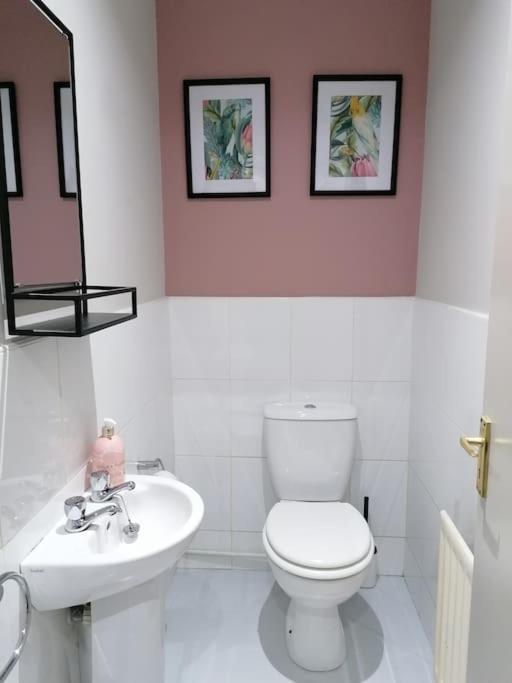 Stunning 3 Bedroom Townhouse In The Heart Of City Belfast Dış mekan fotoğraf